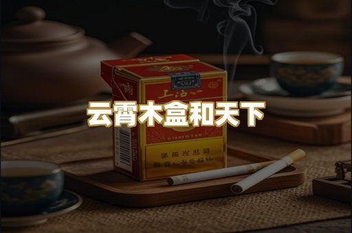 云霄木盒和天下